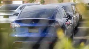 Latest Japanese used car Information and Events 