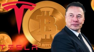 Latest Japanese used car Information and Events 