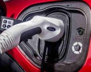 Latest Japanese used car Information and Events 