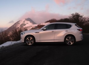 Latest Japanese used car Information and Events 