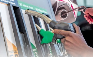 Latest Japanese used car Information and Events 