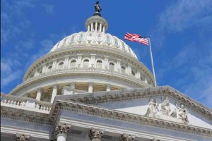 Latest Japanese used car Information and Events 