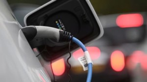 Latest Japanese used car Information and Events 