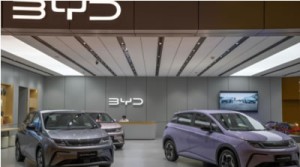 Latest Japanese used car Information and Events 